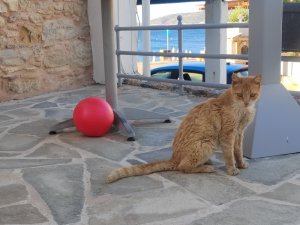 Aktivni-dovolena-u-more-Recko-Chios-fit-studio-Venuse-31