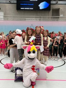 Tým AEROBIC TEAM SHOW - Kuchaři - závody, jarní sezóna