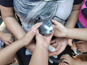 Primestsky-tabor-Fit-studio-Venuse-31