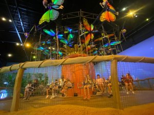 Primestsky-tabor-Fit-studio-Venuse-8