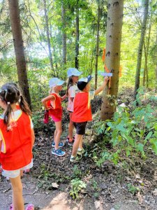 Letni-primestsky-tabor-Fit-studio-venuse-103