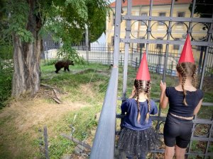 Letni-primestsky-tabor-Fit-studio-venuse-4