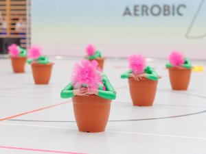 Fit-studio-Venuse-Aerobic-team-show-2