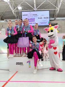 Aerobic-team-show-Fit-studio-Venuse-22